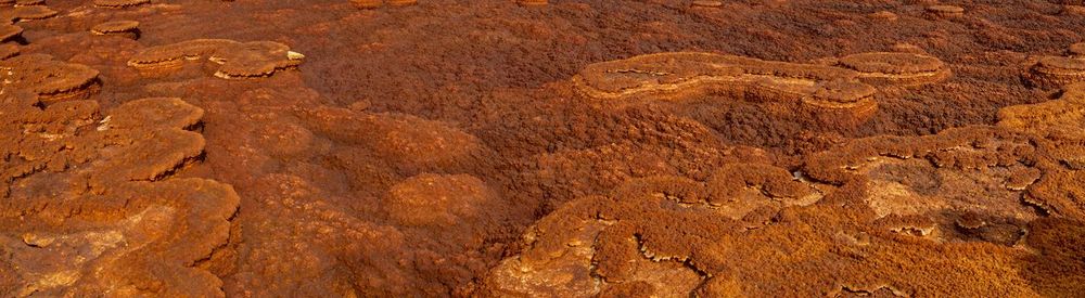 Panorama of surreal colors created by sulphur springs in the hottest place on earth, ethiopia.