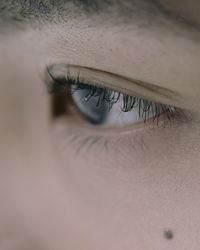 Close-up of human eye