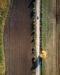 High angle view of agricultural field