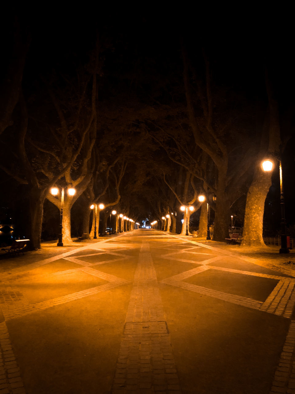 ILLUMINATED STREET LIGHTS AT NIGHT