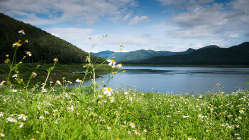 Scenic shot of calm countryside lake