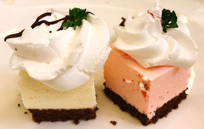 Close-up of ice cream in plate