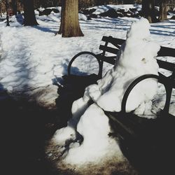 Dog on snow during winter