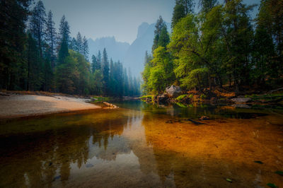 Beautiful nature without people during pandemic travel restrictions at yosemite national park 