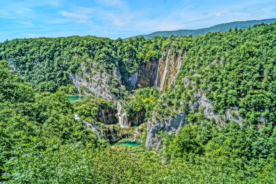 Scenic view of green landscape