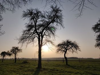 Silhouette trees on field against sky during sunset