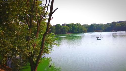People on boat in river