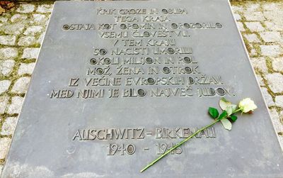 High angle view of text on plant at cemetery