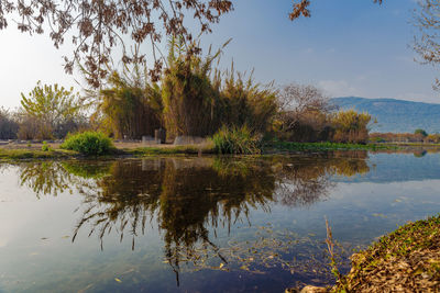 Reflection of trees in lake against sky