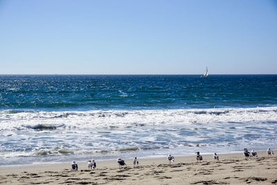 Scenic view of beach against clear blue sky