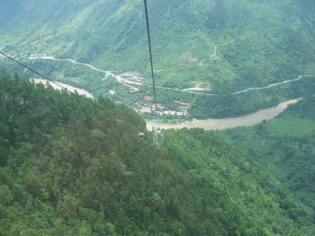 High angle view of road amidst trees in forest