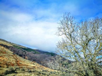 Scenic view of tree mountains against sky