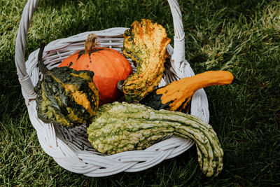 High angle view of pumpkins on field during autumn