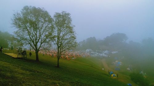 Trees on field against sky