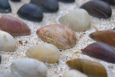 High angle view of pebbles on beach