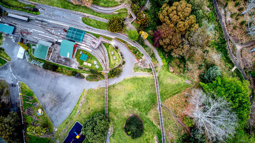 High angle view of trees