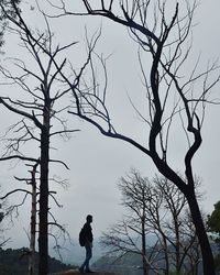 Bare trees against sky