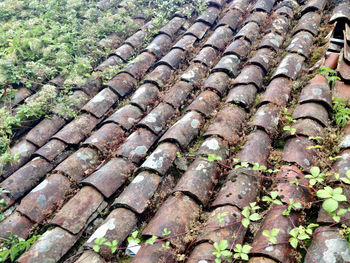 Full frame shot of roof tiles