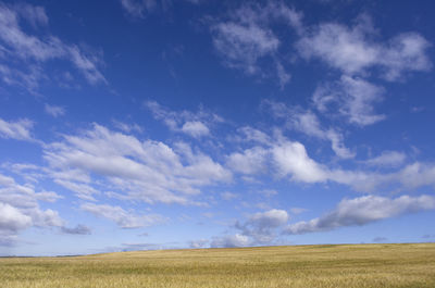 Scenic view of field against blue sky