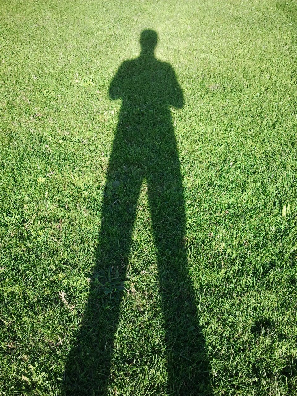 SHADOW ON GRASS