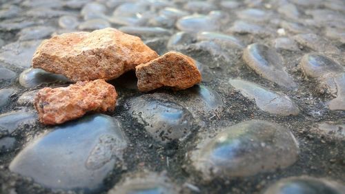 Close-up of stones on cobbled footpath