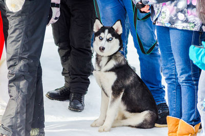 Low section of people with dog