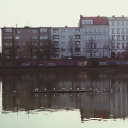 Buildings in city