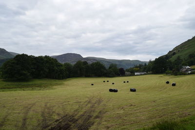 Hay bales on field against sky