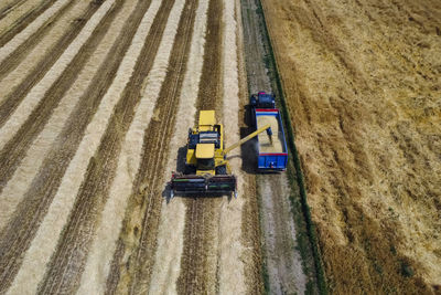 Harvesting scene in the italian countryside