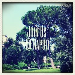 Trees growing in the dark