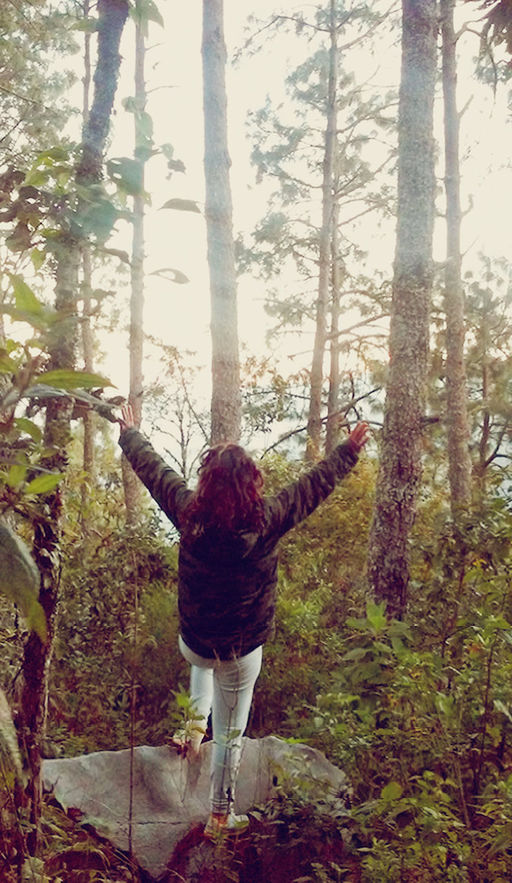 rear view, tree, carefree, one person, vitality, freedom, nature, enjoyment, outdoors, day, forest, full length, people, sky, real people, one woman only, human body part, beauty in nature, adults only, adult