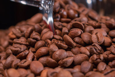 Close-up of coffee beans