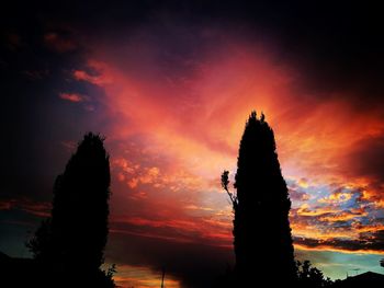 Silhouette of tree at sunset