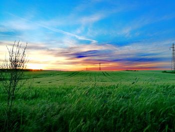 Scenic view of field against sky during sunset