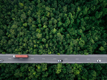 Aerial top view of car and truck driving on highway road in green forest. sustainable transport.