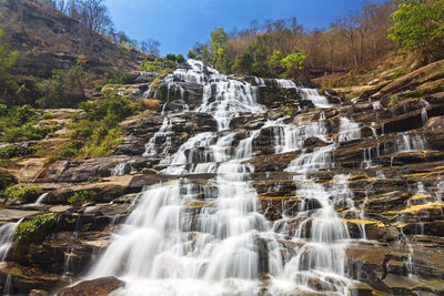 Scenic view of waterfall in forest