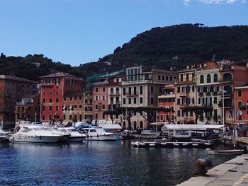 Boats moored at harbor against clear sky