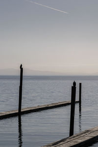 Wooden posts in sea against clear sky