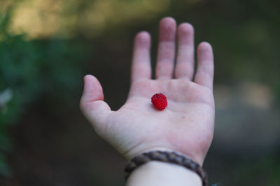 Close-up of human hand