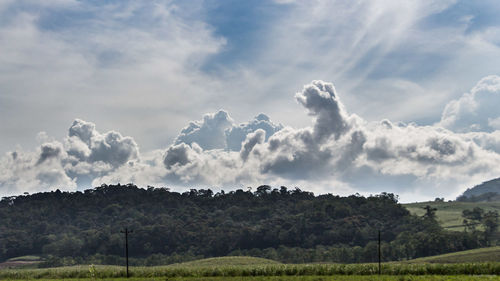 Panoramic shot of trees on countryside landscape