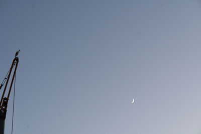Low angle view of moon against clear sky at night