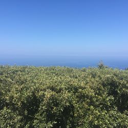 Scenic view of sea against clear blue sky