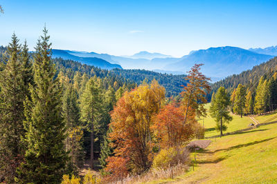 Trees on landscape against sky during autumn