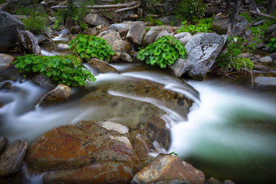 Stream flowing through rocks in forest