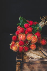Close-up of red berries against black background
