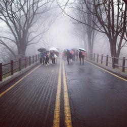 People walking on road