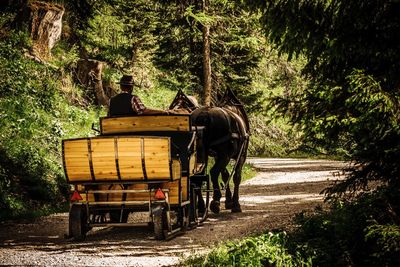 People working on field