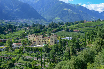 Scenic view of landscape and mountains