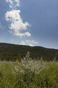 Scenic view of land against sky