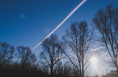 Low angle view of trees against blue sky